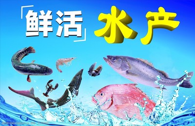 水产世界的绚丽画卷 图片中的水产品之美