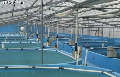 工业化水产养殖 定义、实现路径与核心优势